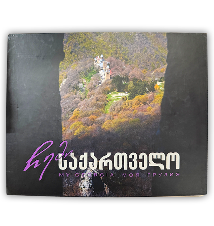 조지아 소개 책 Book introducing Georgia